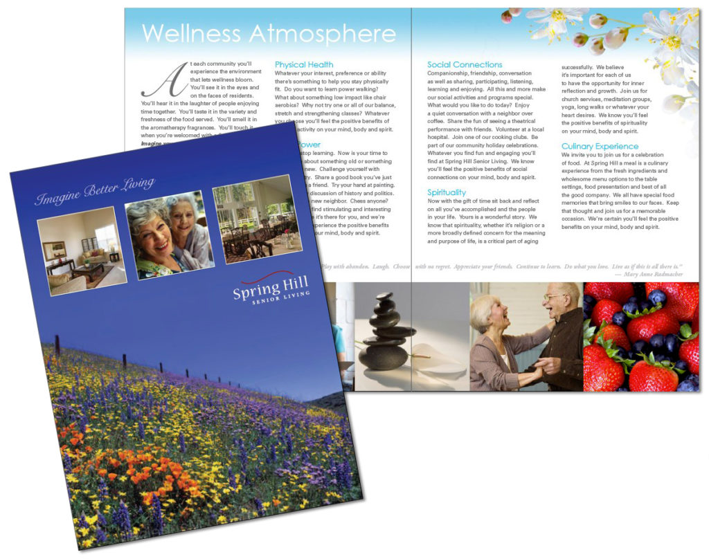 Large Brochure Design